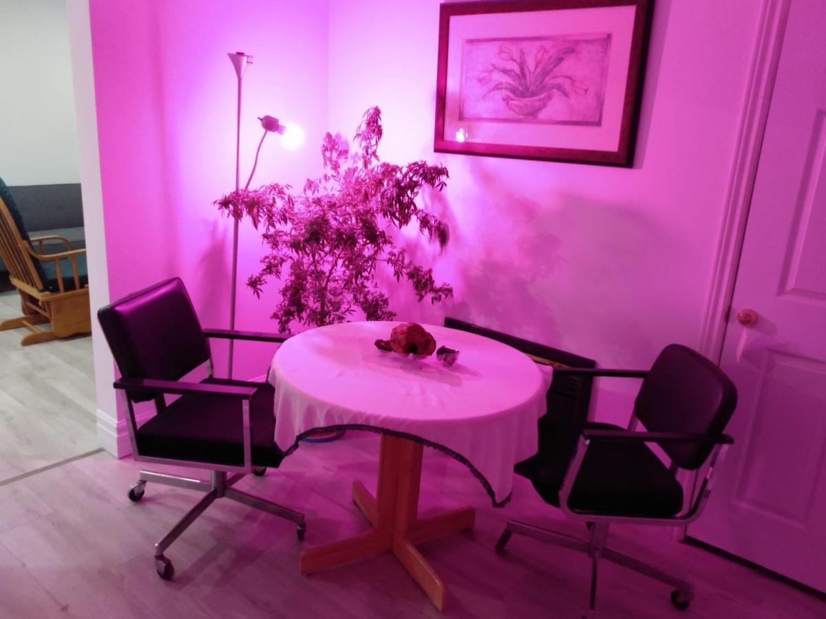 أمهرست Healing Touch Holistic Living Space المظهر الخارجي الصورة